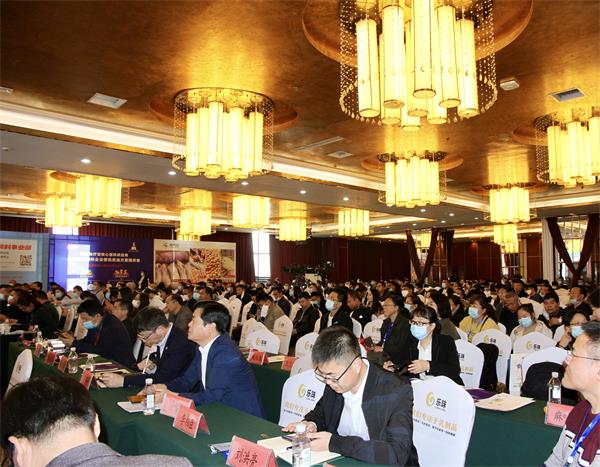 pp电子·(中国)官方网站