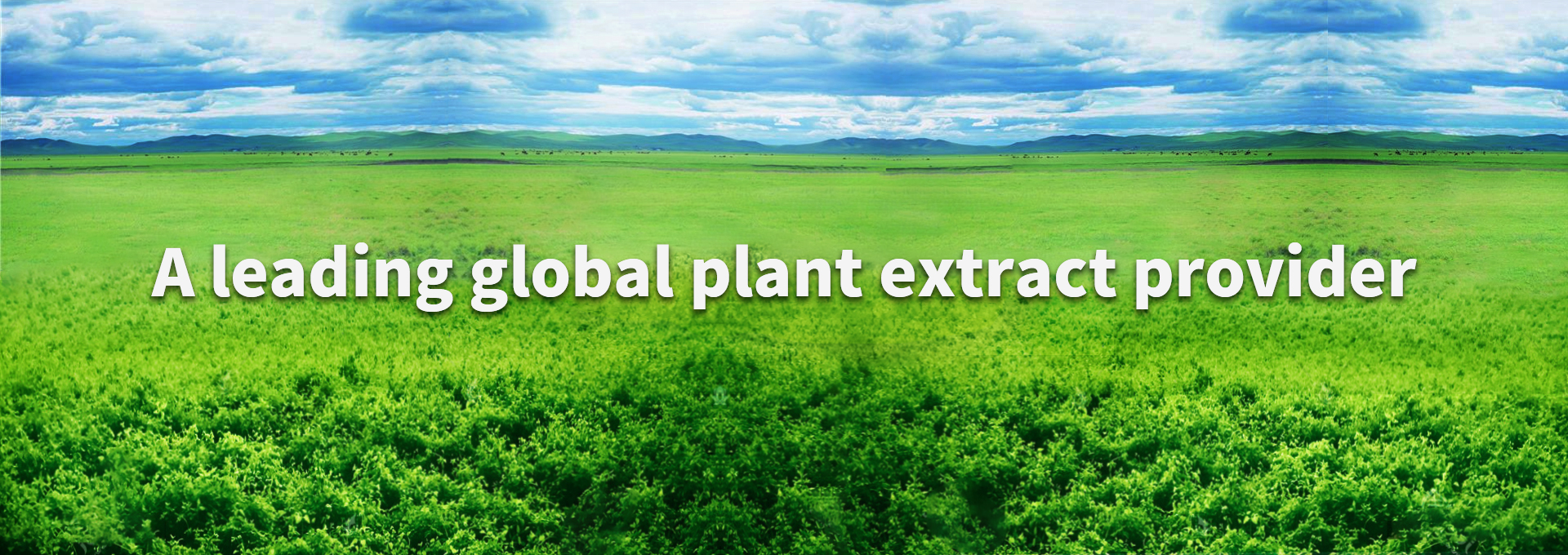 pp电子·(中国)官方网站