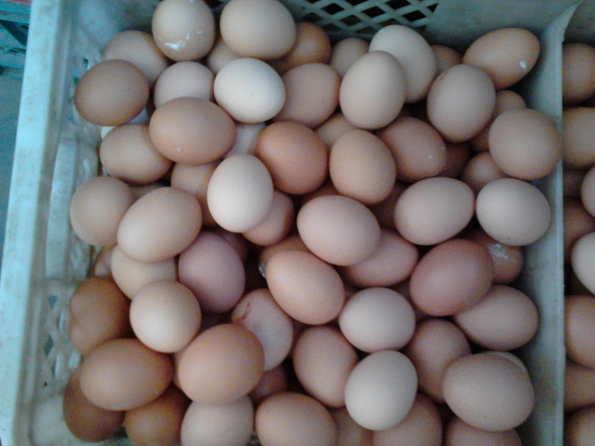 pp电子·(中国)官方网站