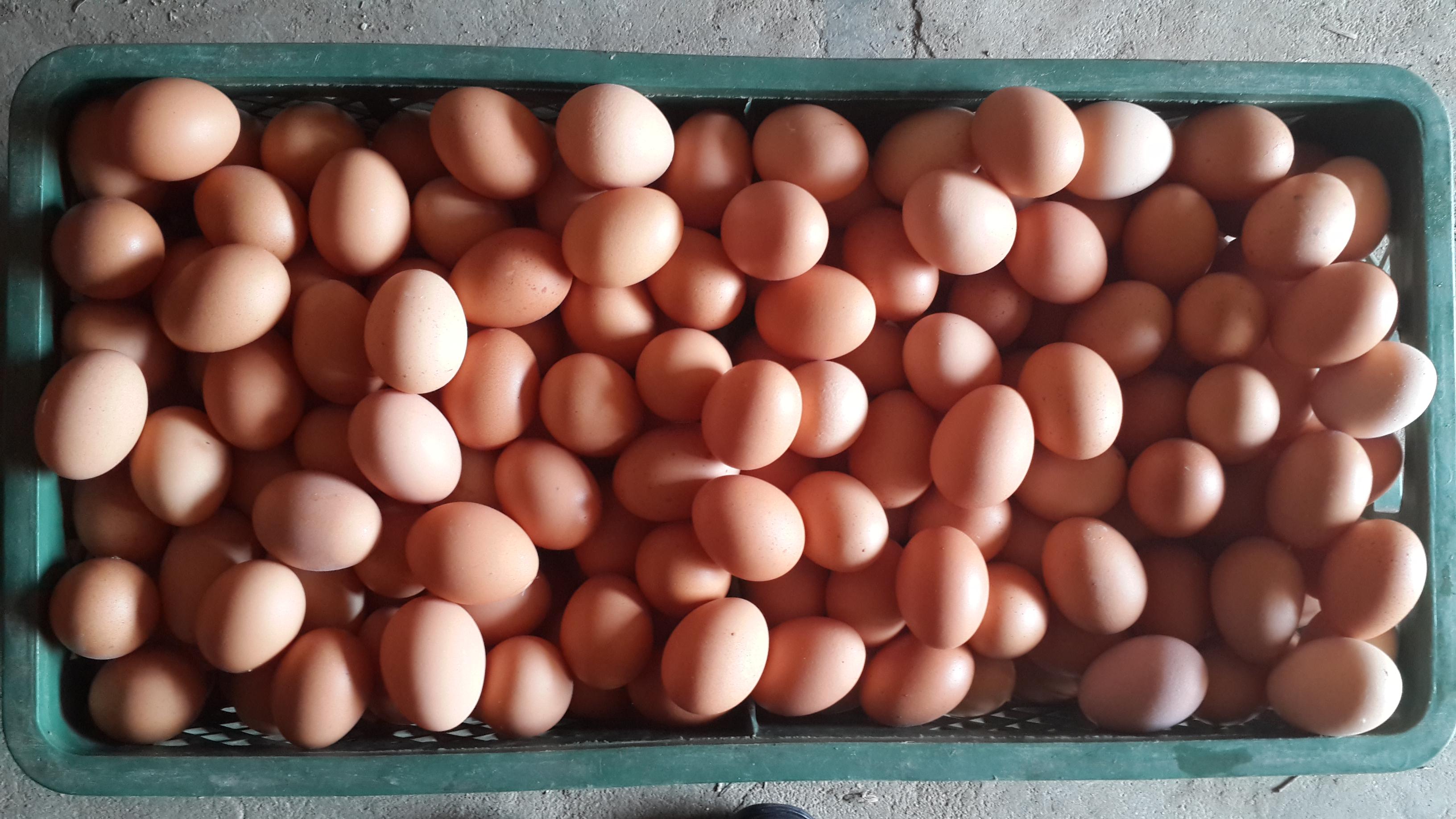 pp电子·(中国)官方网站