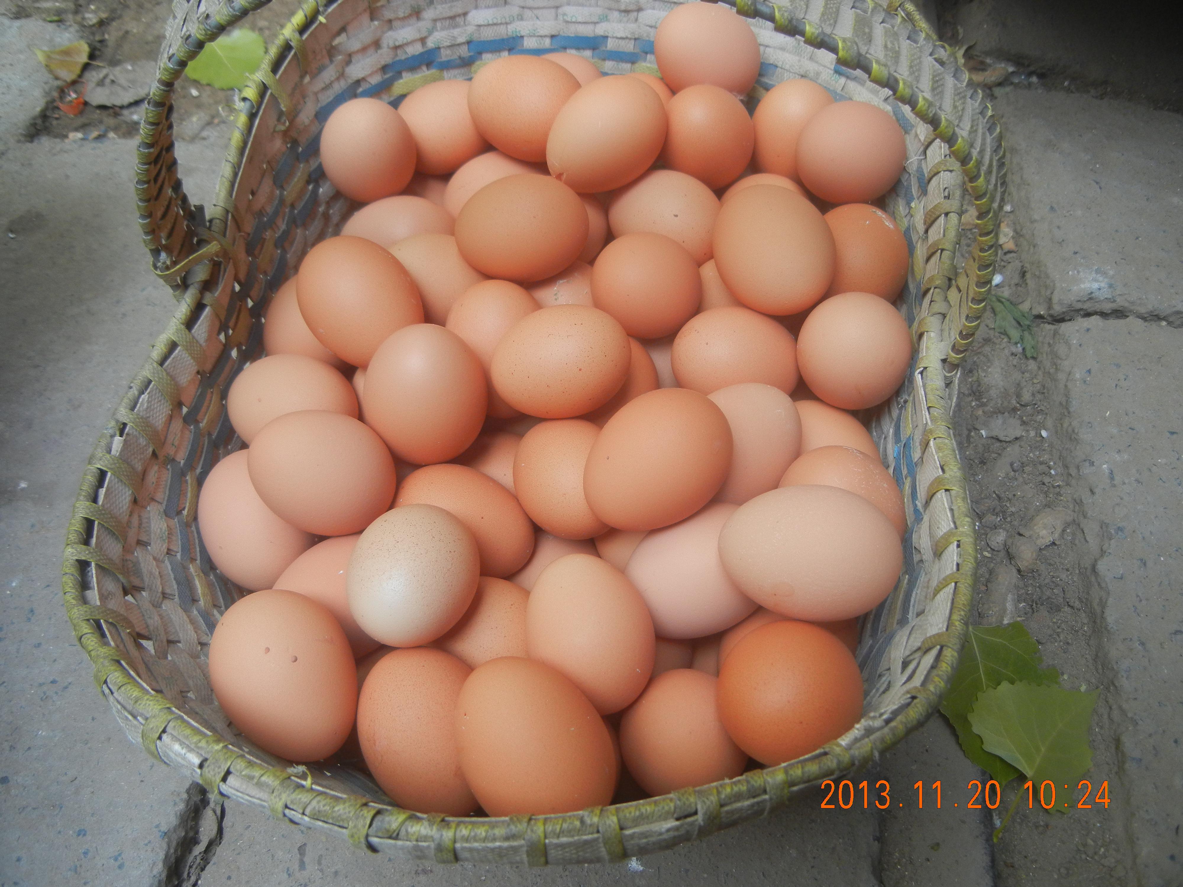 pp电子·(中国)官方网站