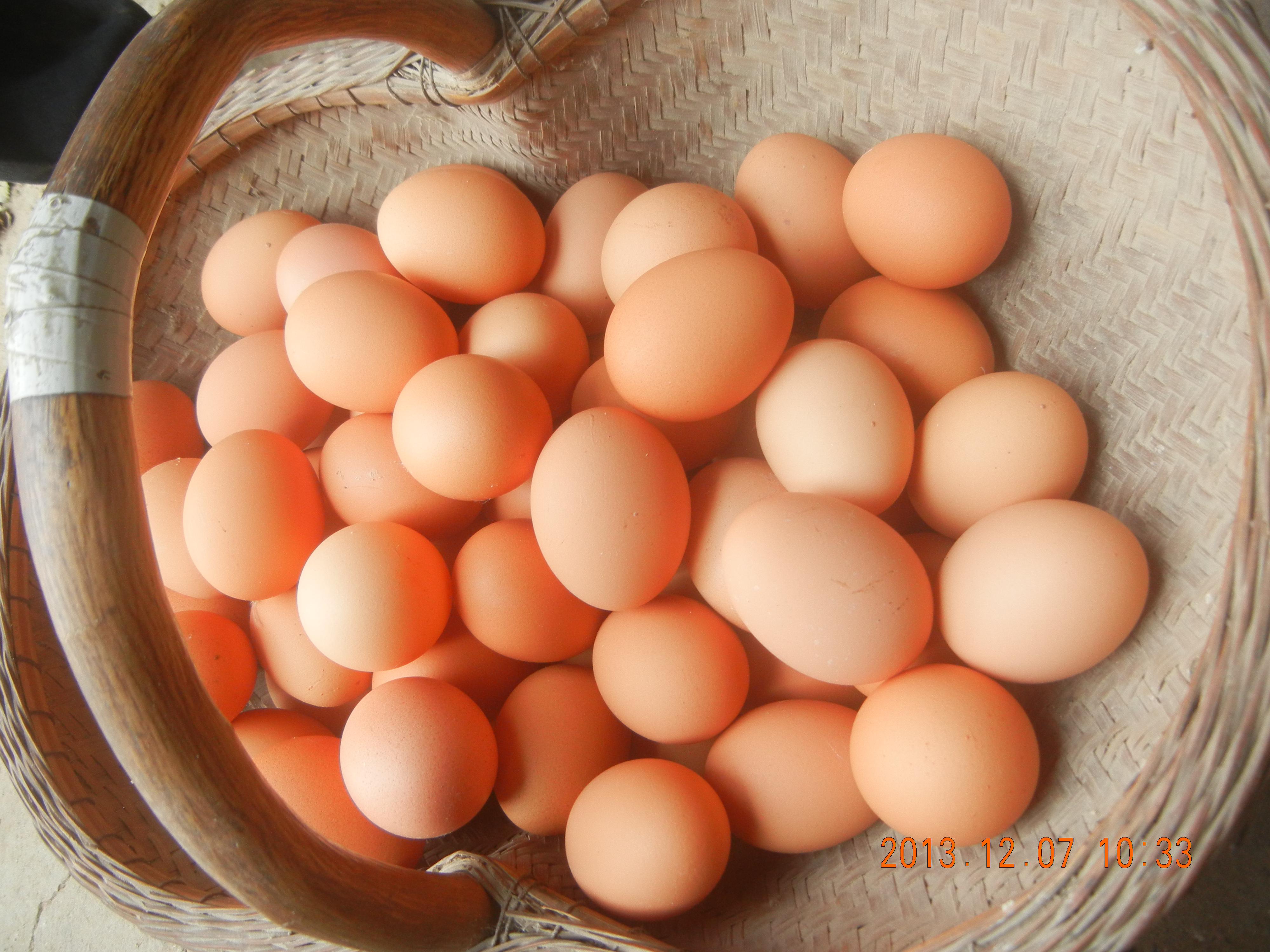 pp电子·(中国)官方网站