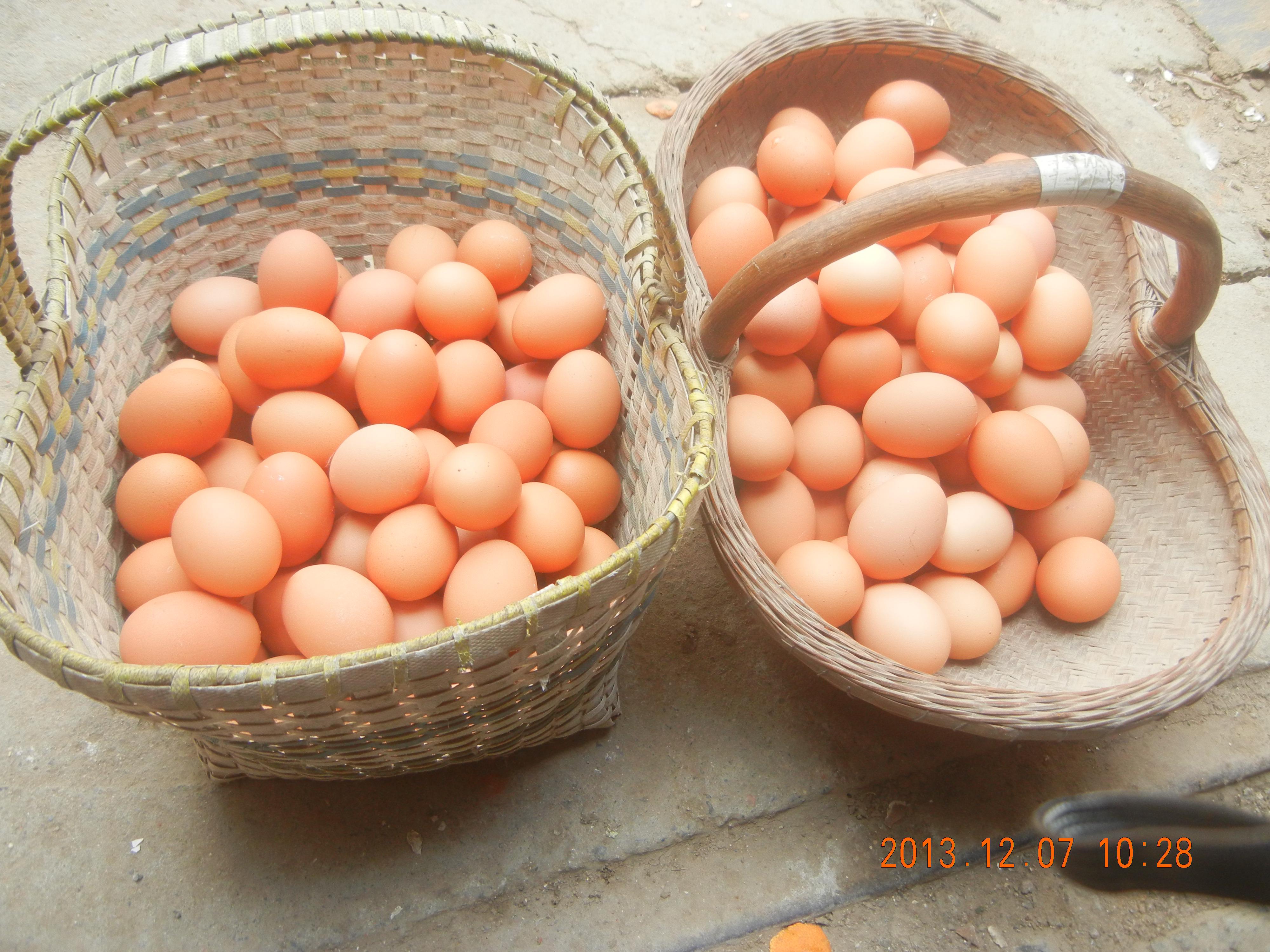 pp电子·(中国)官方网站