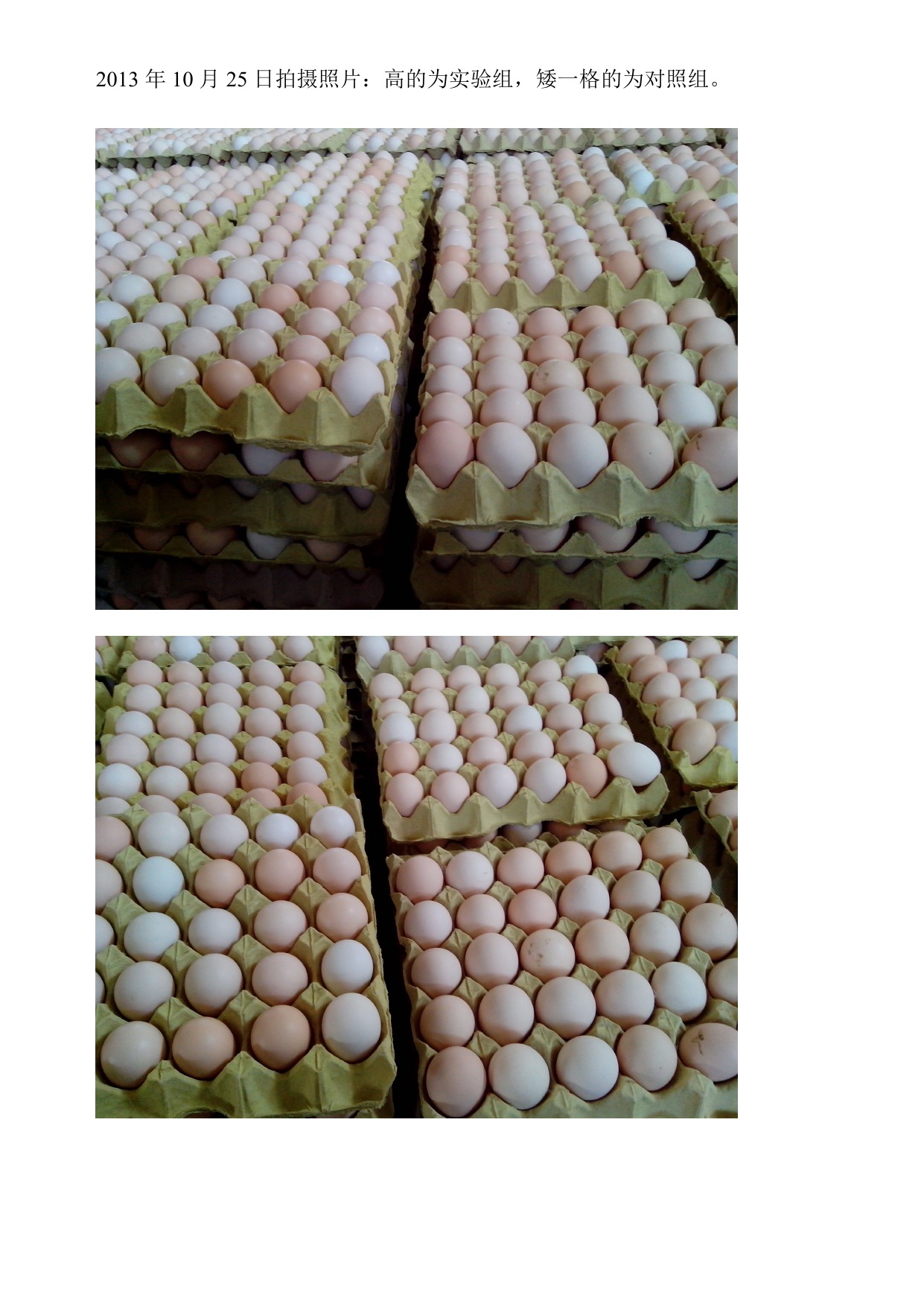 pp电子·(中国)官方网站