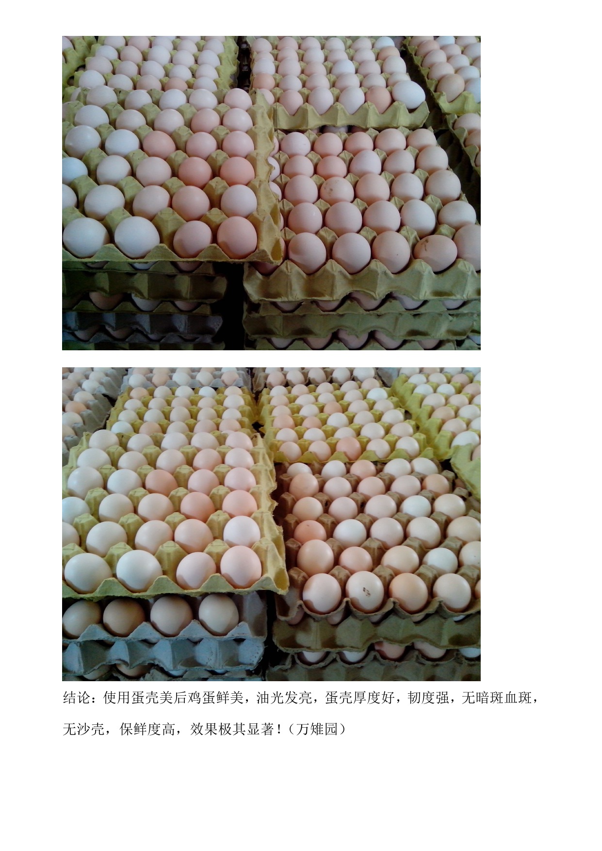 pp电子·(中国)官方网站