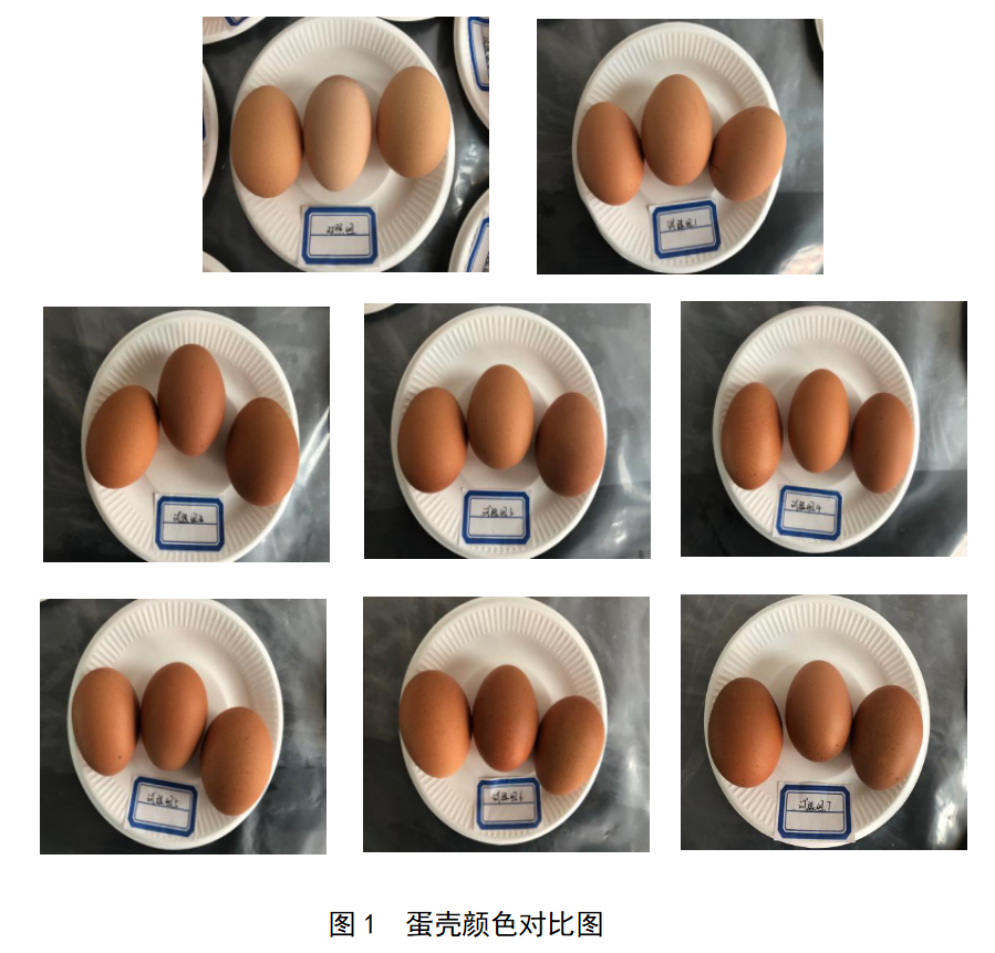 pp电子·(中国)官方网站