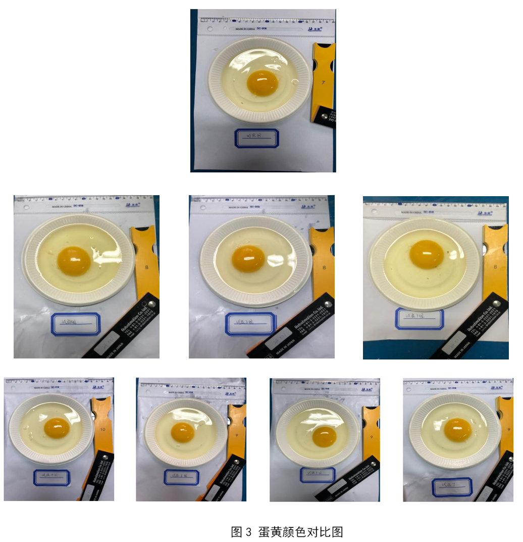 pp电子·(中国)官方网站