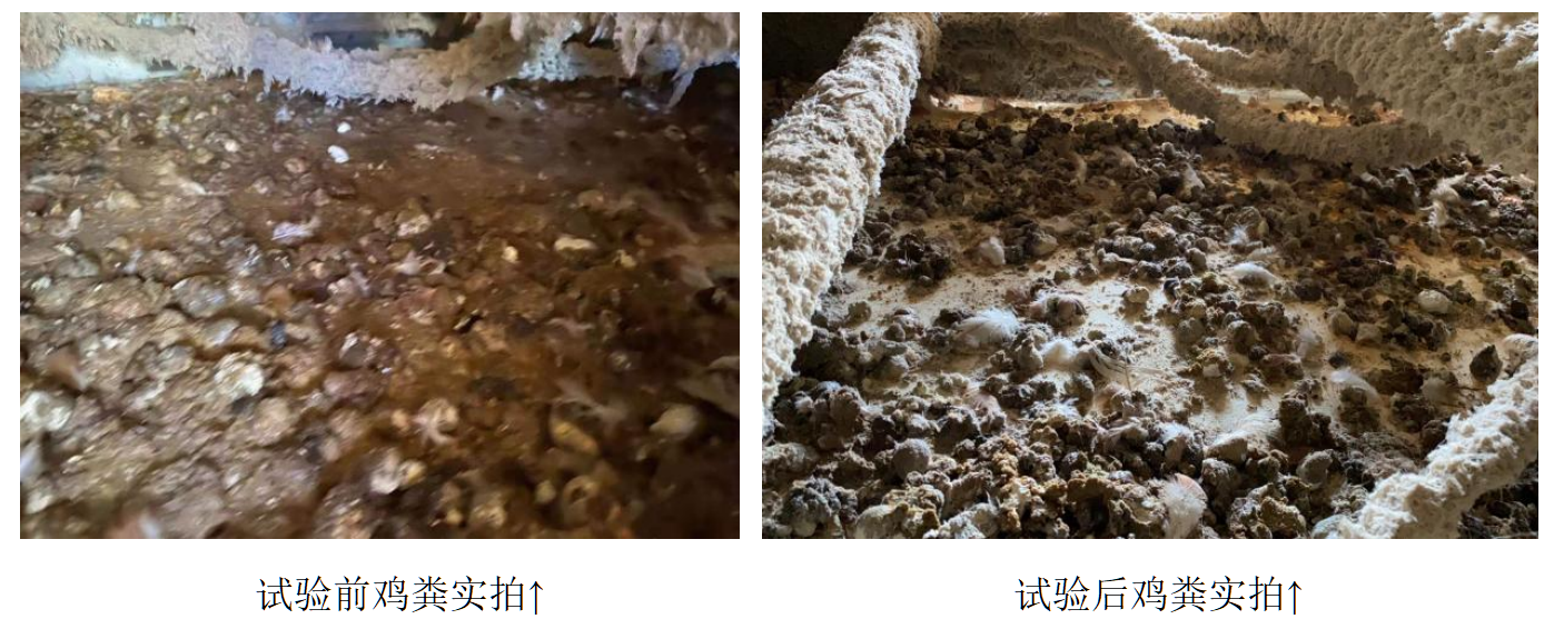 pp电子·(中国)官方网站